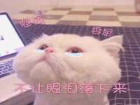 贵州悦博科技有限公司