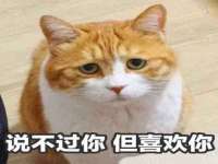 贵州悦博科技有限公司