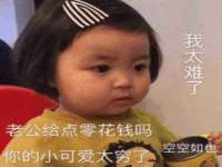 贵州悦博科技有限公司
