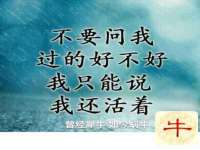 贵州悦博科技有限公司