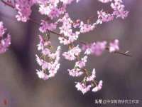 贵州悦博科技有限公司