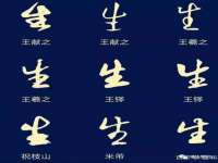 贵州悦博科技有限公司