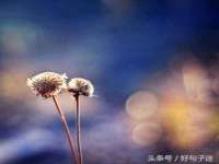 贵州悦博科技有限公司