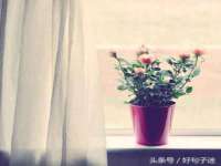 贵州悦博科技有限公司
