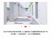 贵州悦博科技有限公司