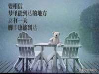 贵州悦博科技有限公司