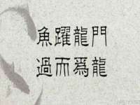 贵州悦博科技有限公司