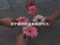 贵州悦博科技有限公司