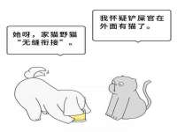 贵州悦博科技有限公司