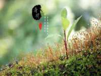 贵州悦博科技有限公司