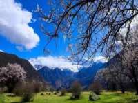 贵州悦博科技有限公司