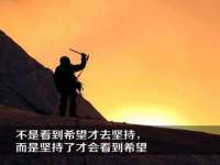 贵州悦博科技有限公司