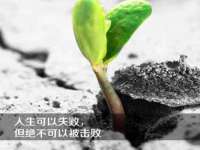 贵州悦博科技有限公司