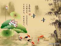 贵州悦博科技有限公司