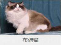 贵州悦博科技有限公司