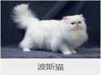 贵州悦博科技有限公司