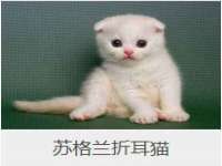 贵州悦博科技有限公司