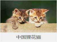 贵州悦博科技有限公司