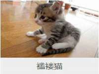贵州悦博科技有限公司
