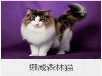 贵州悦博科技有限公司