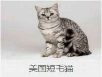 贵州悦博科技有限公司