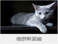 贵州悦博科技有限公司