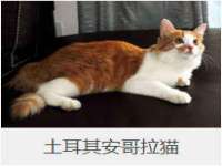 贵州悦博科技有限公司