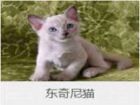 贵州悦博科技有限公司