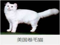 贵州悦博科技有限公司