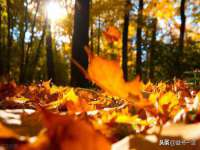 贵州悦博科技有限公司