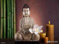 贵州悦博科技有限公司