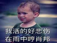 贵州悦博科技有限公司