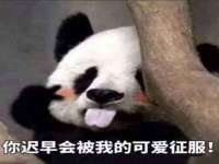 贵州悦博科技有限公司