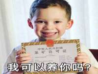 贵州悦博科技有限公司