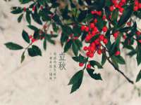 贵州悦博科技有限公司
