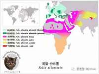 贵州悦博科技有限公司