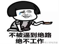 贵州悦博科技有限公司