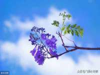 贵州悦博科技有限公司
