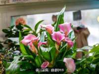 贵州悦博科技有限公司