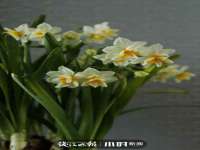 贵州悦博科技有限公司
