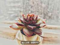 贵州悦博科技有限公司