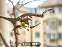 贵州悦博科技有限公司