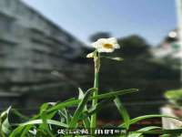 贵州悦博科技有限公司