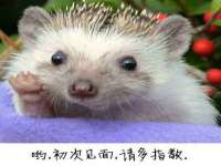 贵州悦博科技有限公司
