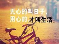 贵州悦博科技有限公司