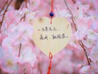 贵州悦博科技有限公司