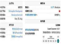 贵州悦博科技有限公司