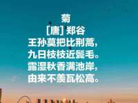 贵州悦博科技有限公司