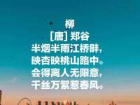 贵州悦博科技有限公司