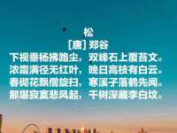 贵州悦博科技有限公司